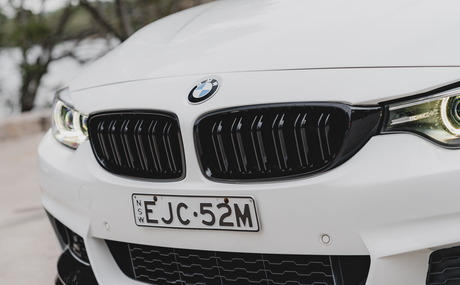 Euro Design Dual Slot Front Grill (Gloss Black) for 12-18 BMW 3 Series/4 Series F30/F31/F32/F33/F36