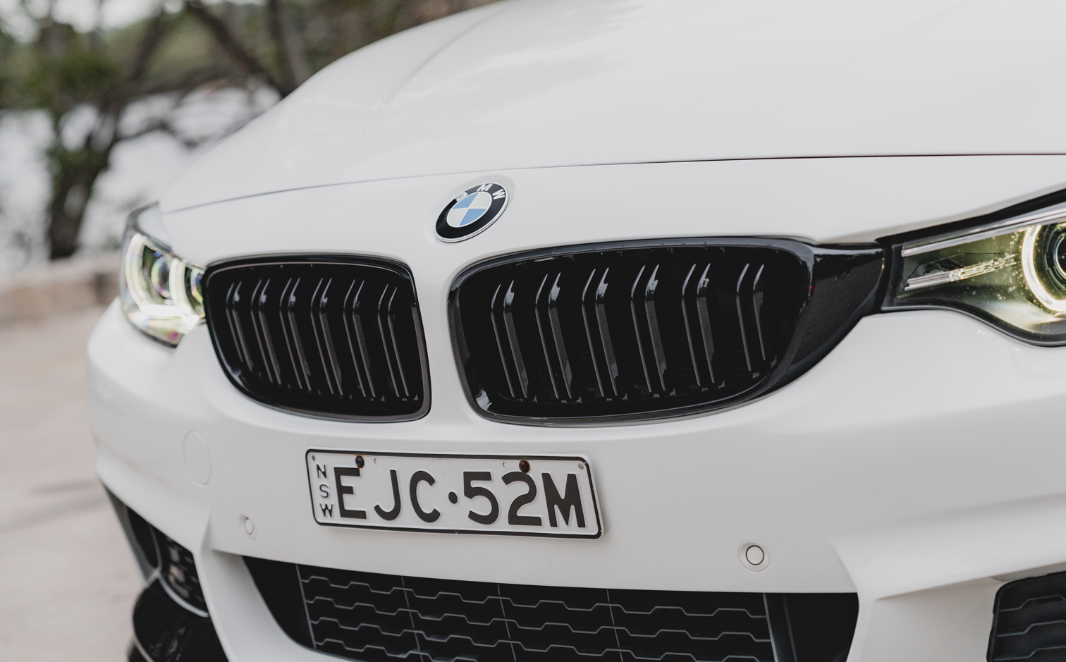 Euro Design Dual Slot Front Grill (Gloss Black) for 12-18 BMW 3 Series/4 Series F30/F31/F32/F33